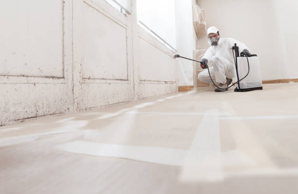 24/7 Emergency Mold Remediation experts in Dover, PA